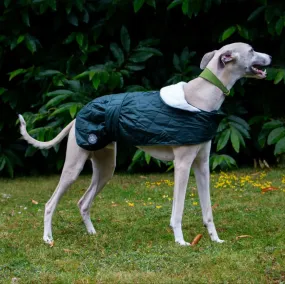 Hound Quilted Coat